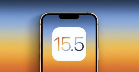 宾阳苹果手机维修分享iOS15.5 RC版升级建议 
