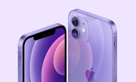 宾阳苹果手机维修分享紫色版iPhone 12有什么技术亮点 