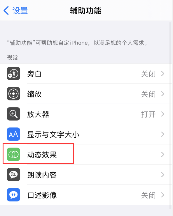 宾阳苹果手机维修分享iPhone 12 退出应用时没有动画显示，如何设置 