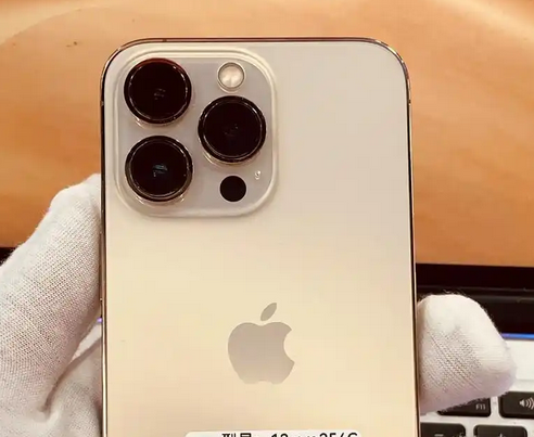 宾阳苹果13维修中心分享如何在iPhone13上设置动态壁纸